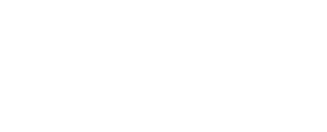 the Woo logo